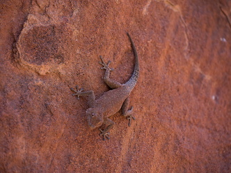 NAMIBIA 2017-10-14 2191-1